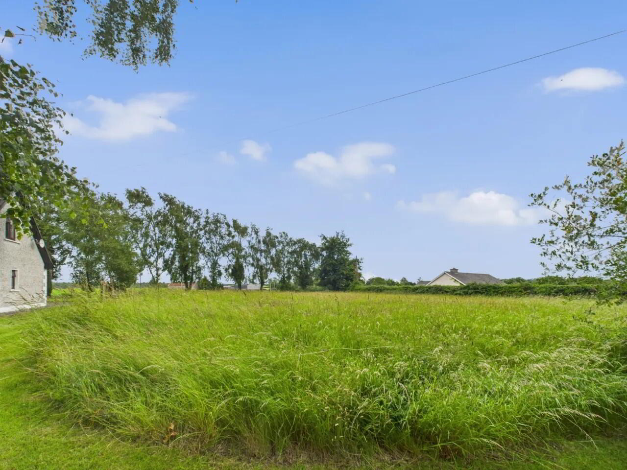 Sheelruddera 14 of 15