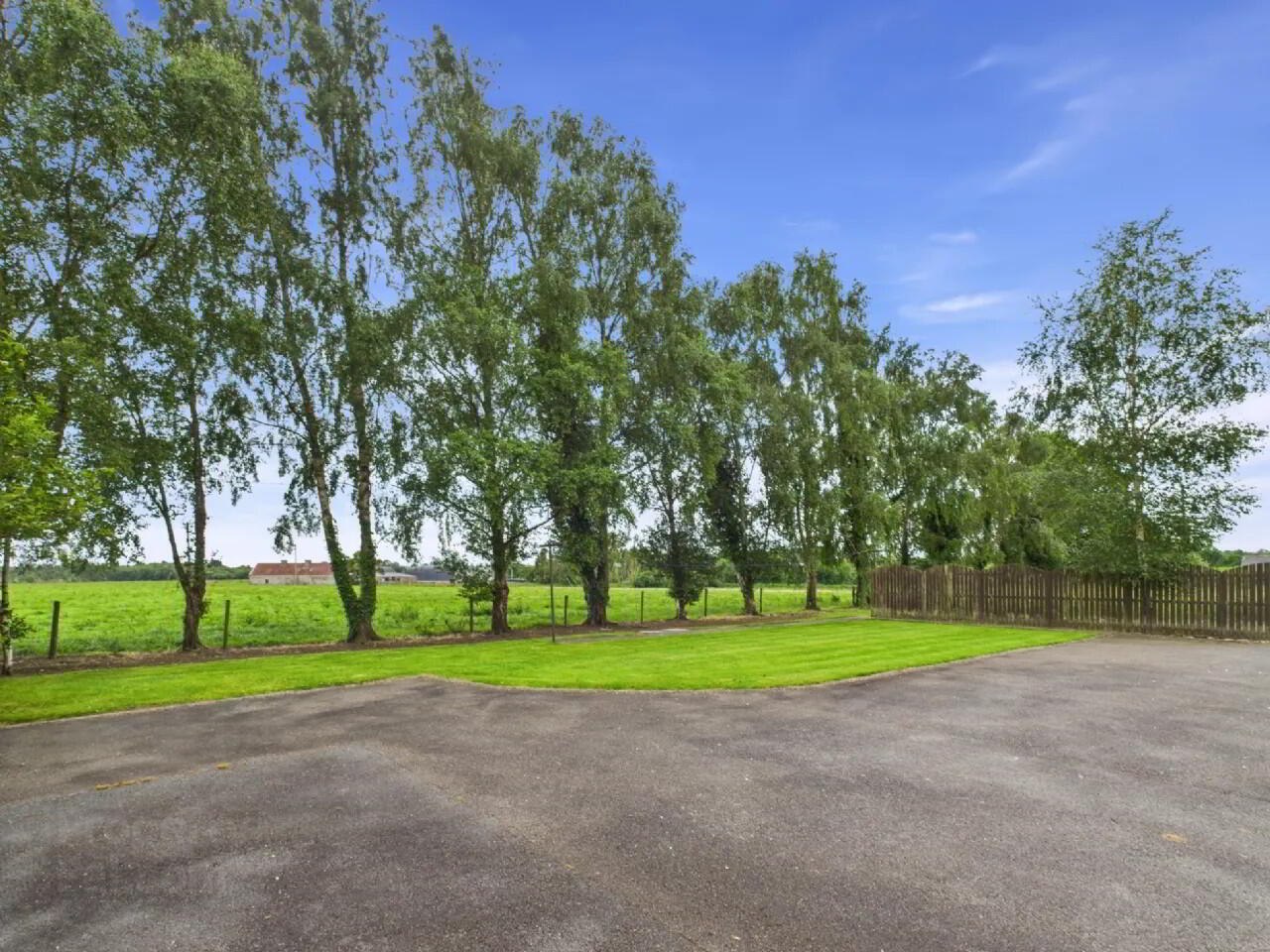 Sheelruddera 15 of 15
