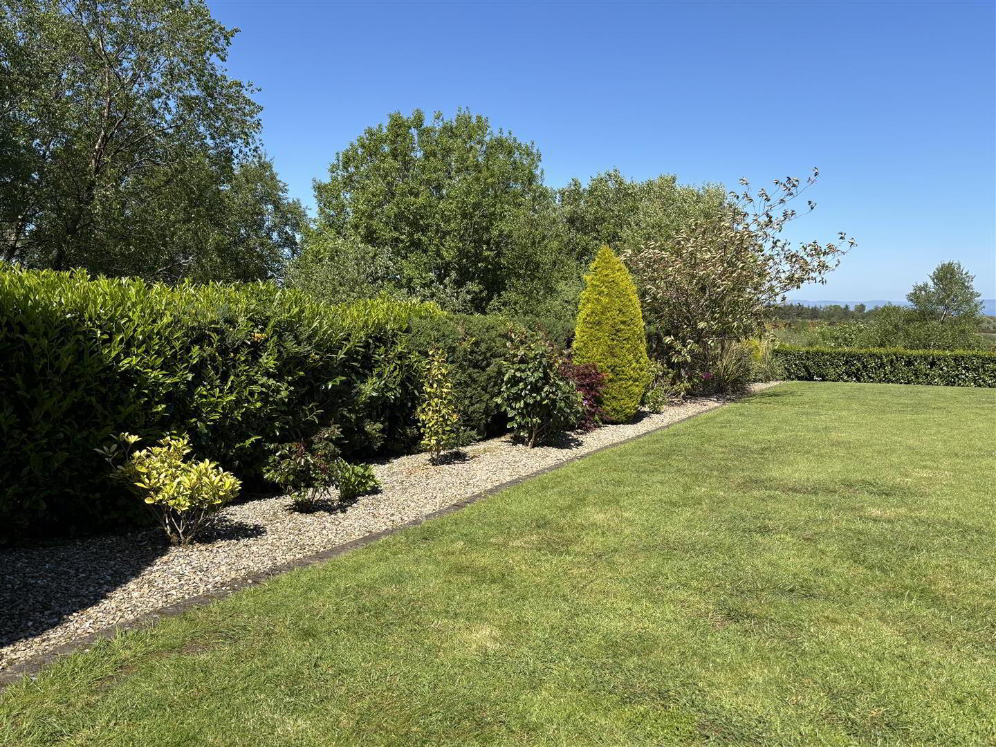 39 Larch Road 36 of 47