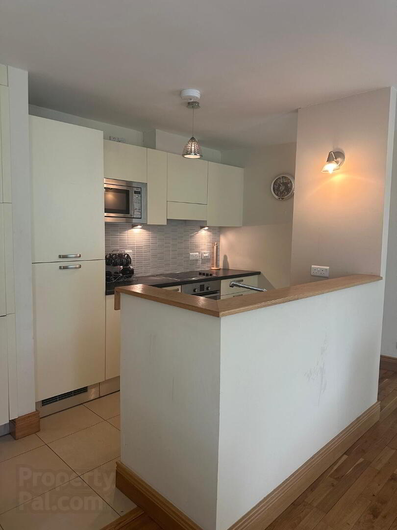 The Beech, Avenue 6 of 14