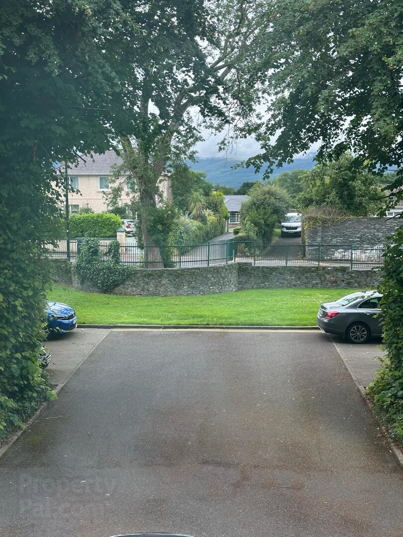 The Beech, Avenue 14 of 14