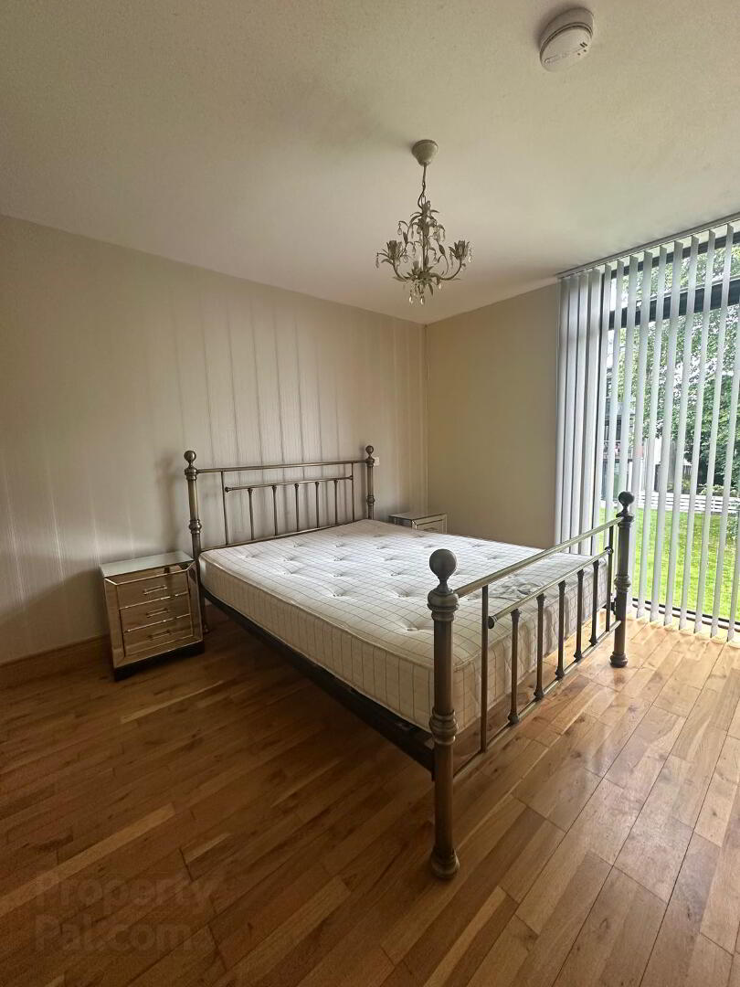 The Beech, Avenue 12 of 14