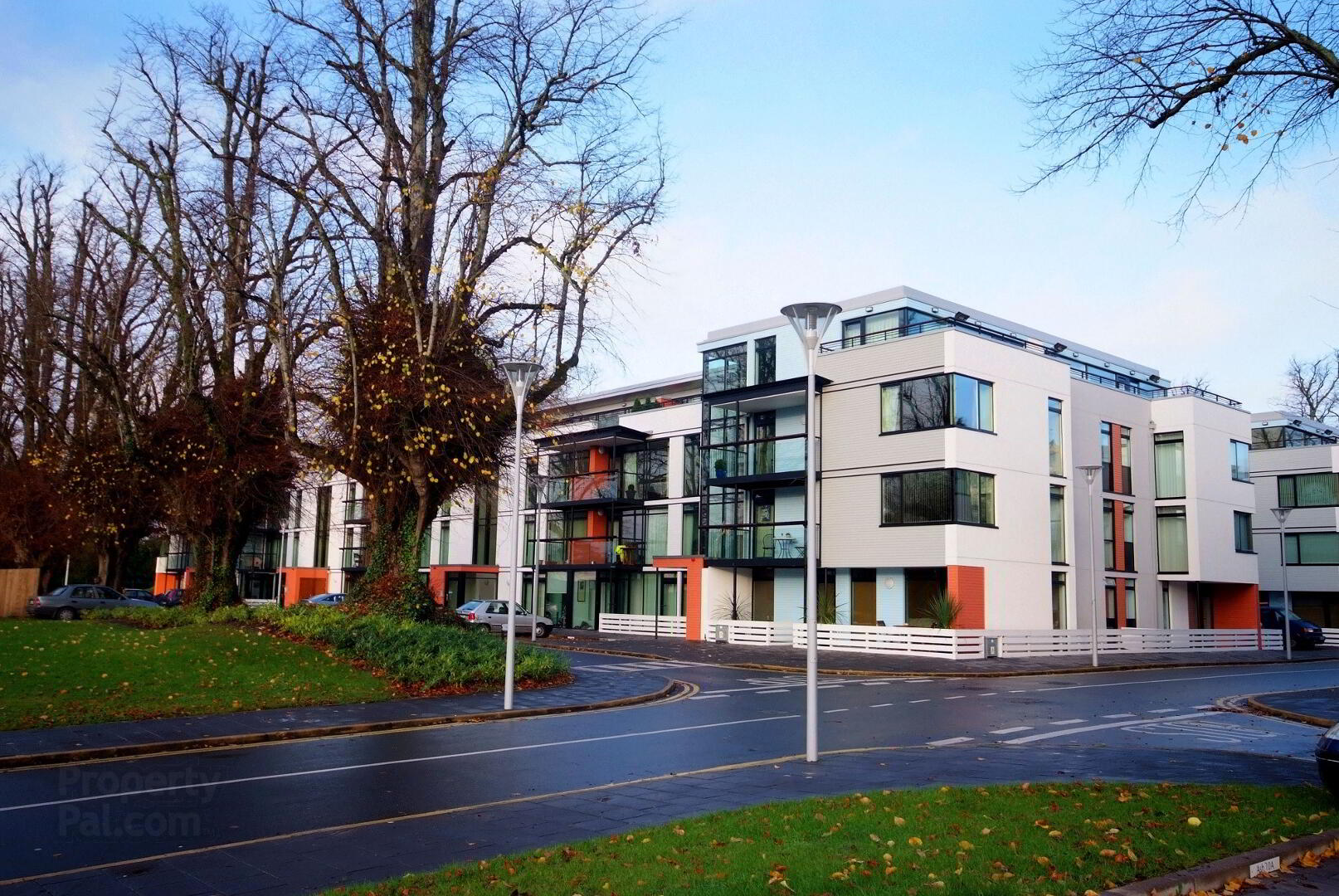 The Beech, Avenue 1 of 14