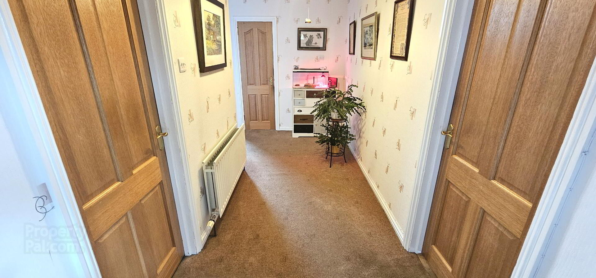 41 Green Road 4 of 43