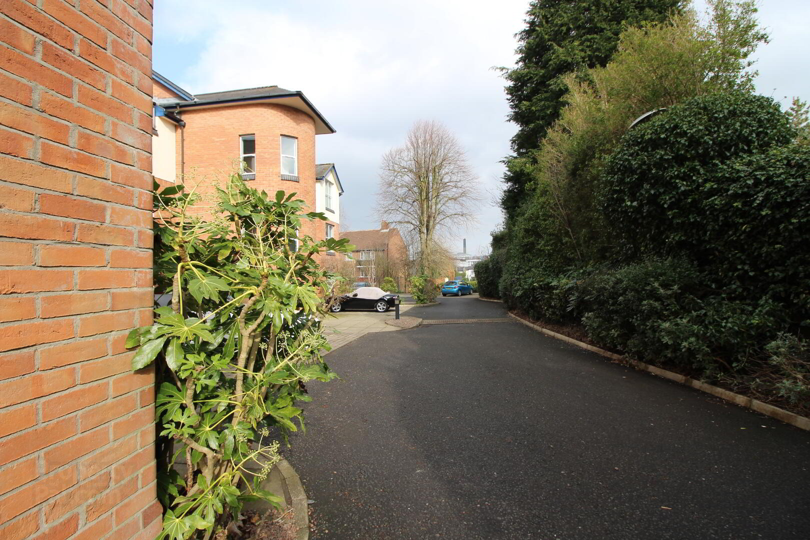 10 Derryvolgie Mews, 4 Derryvolgie Avenue 2 of 10