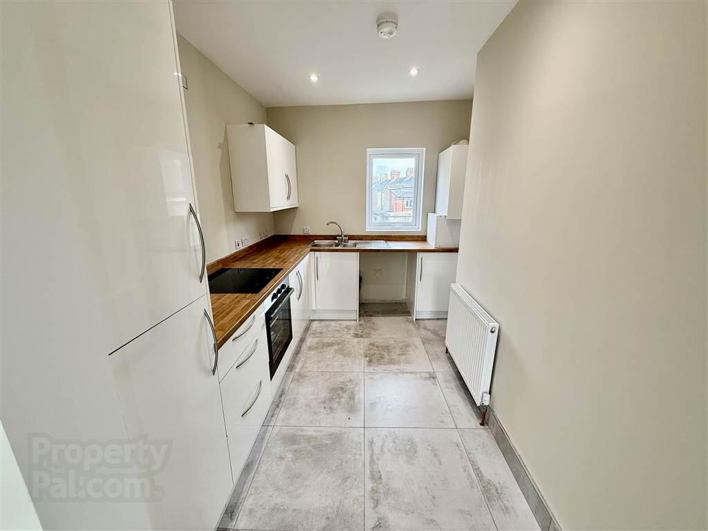Apartment 2 346 Woodstock Road 6 of 10