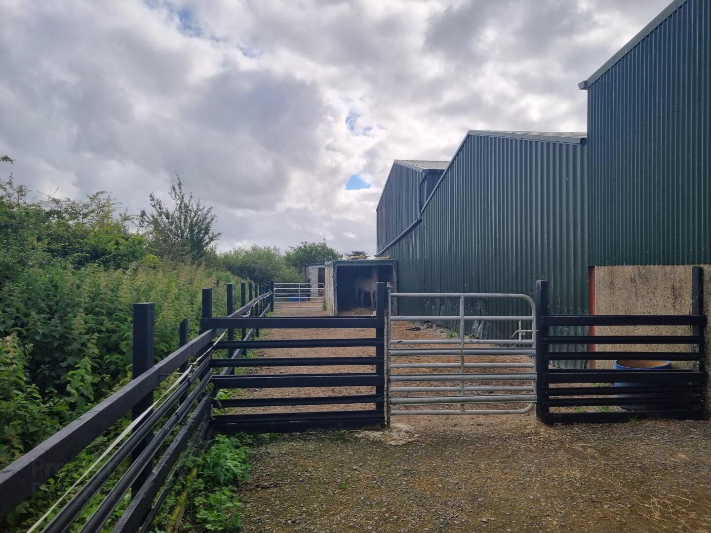 Whitethorn Equestrian Centre 5 of 33