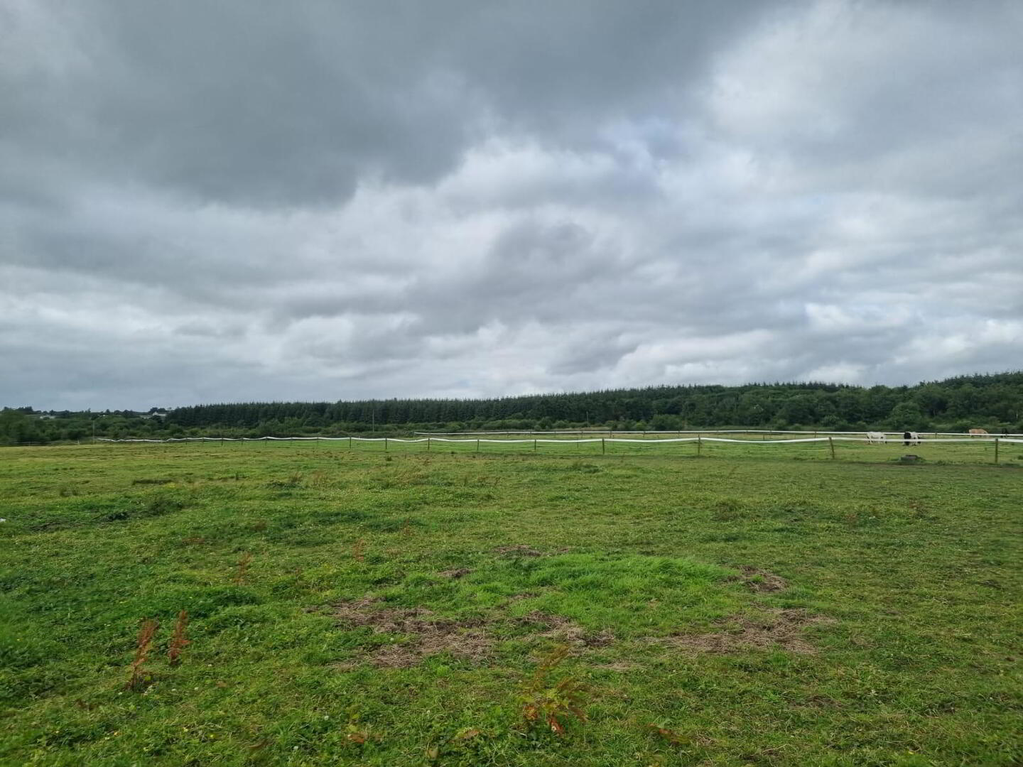 Whitethorn Equestrian Centre 29 of 33