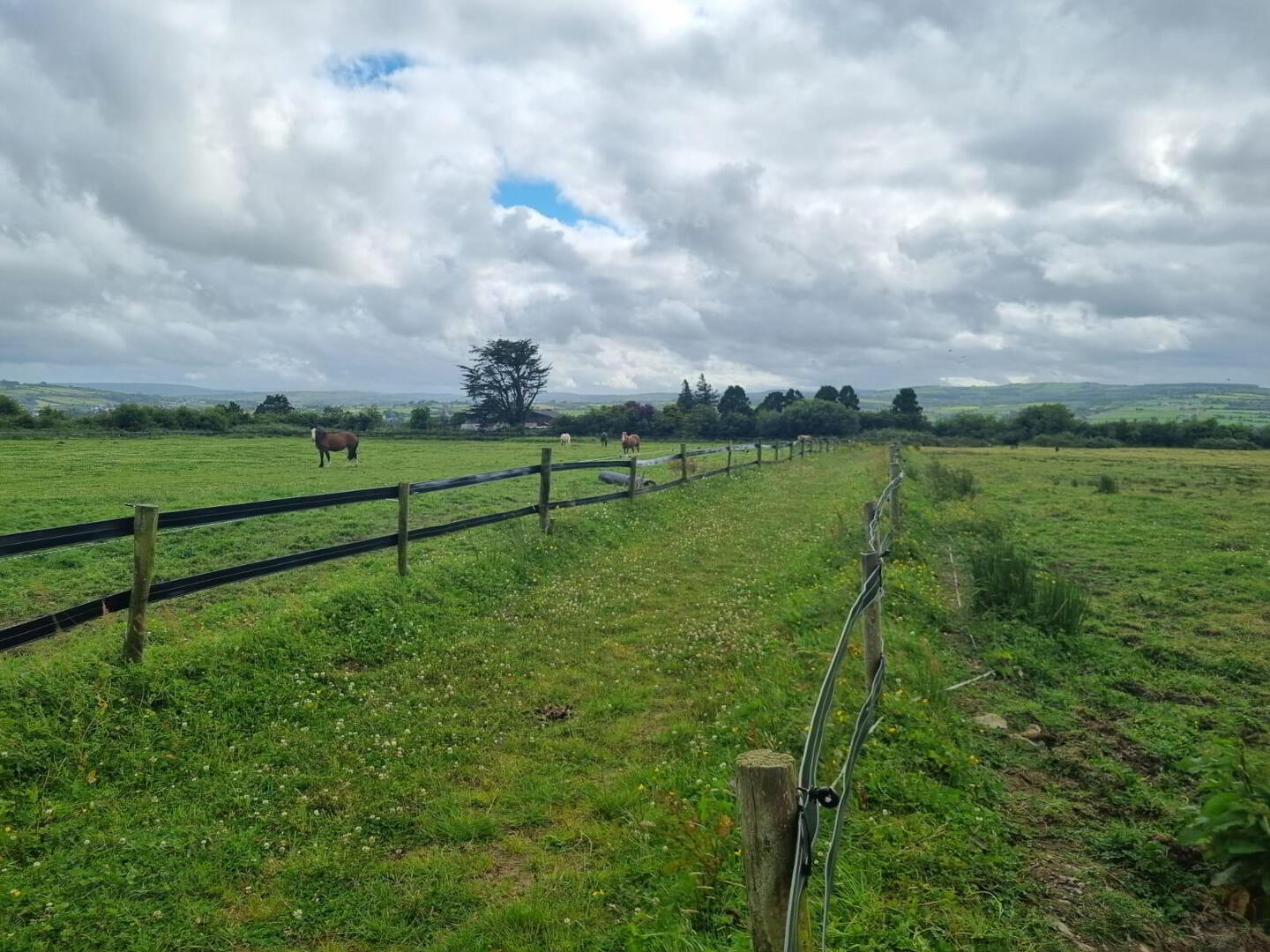 Whitethorn Equestrian Centre 30 of 33
