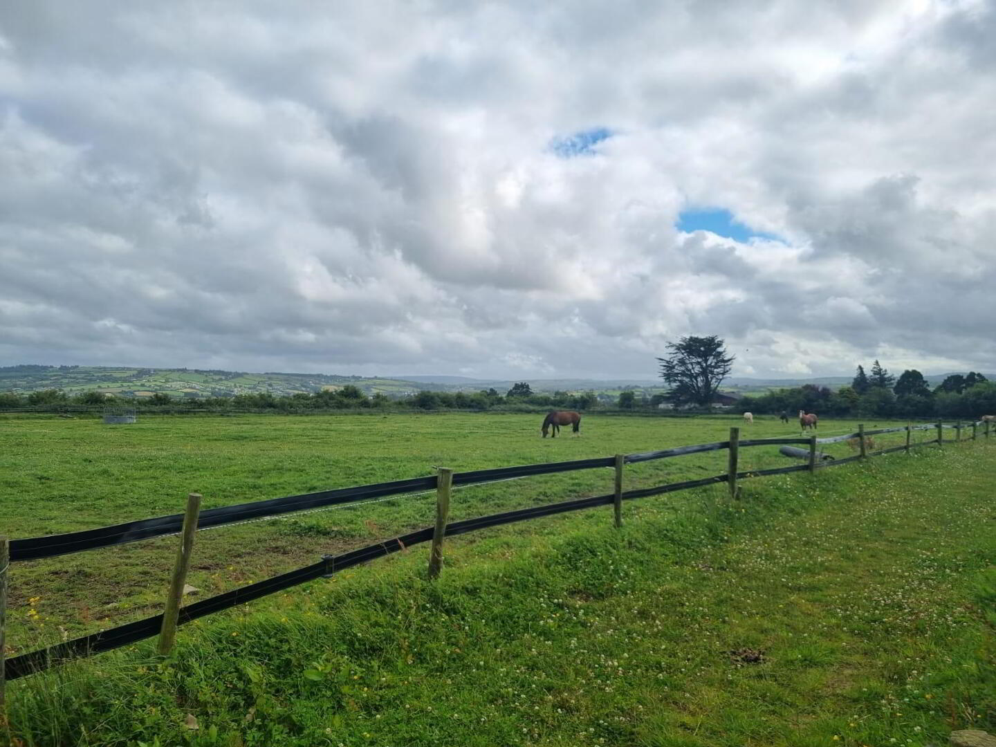 Whitethorn Equestrian Centre 31 of 33