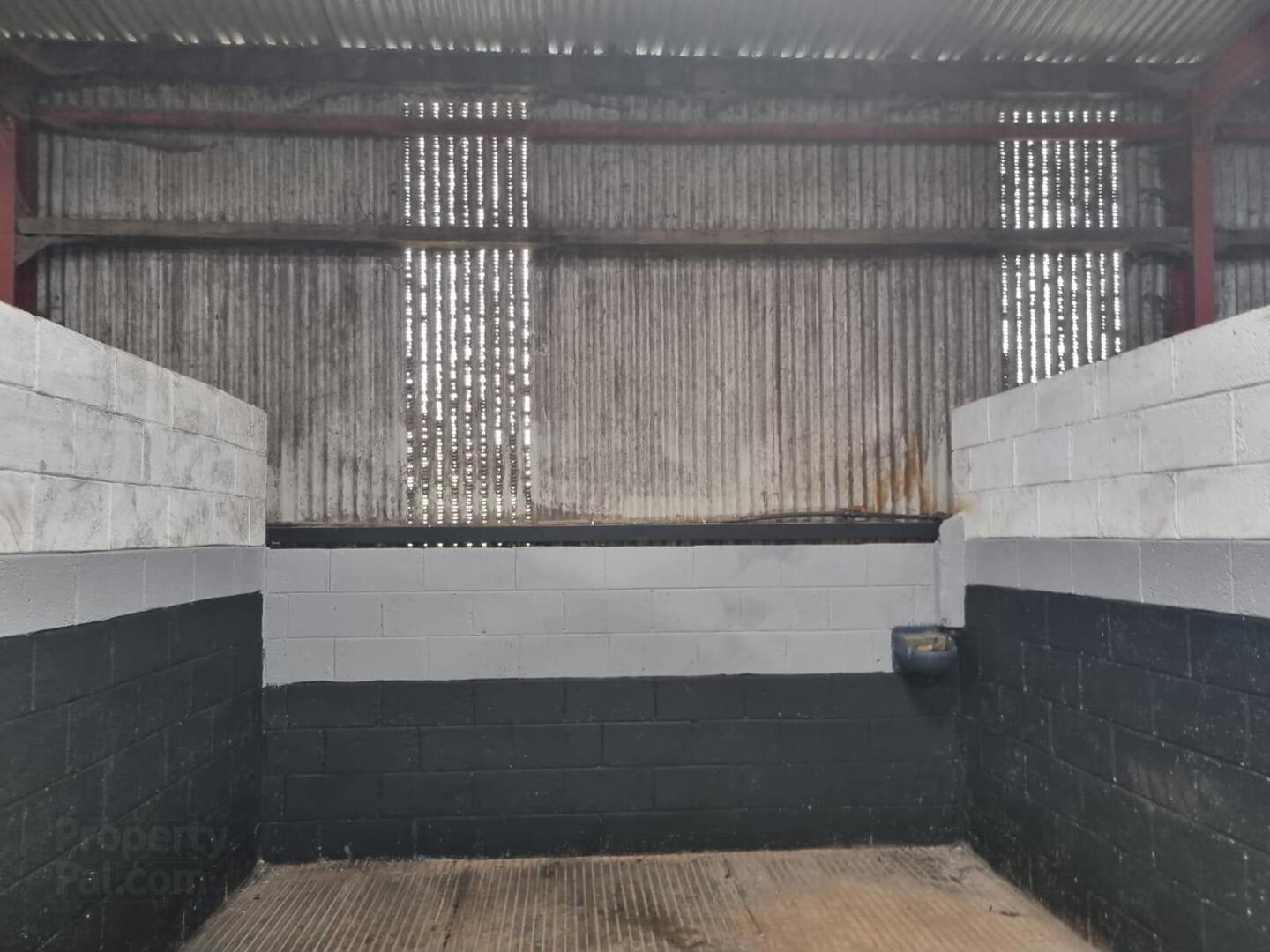 Whitethorn Equestrian Centre 17 of 33