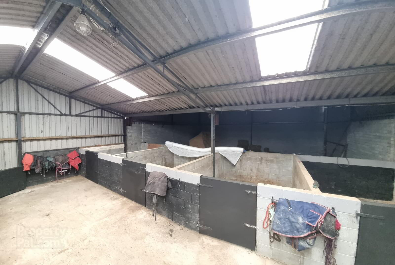 Whitethorn Equestrian Centre 19 of 33