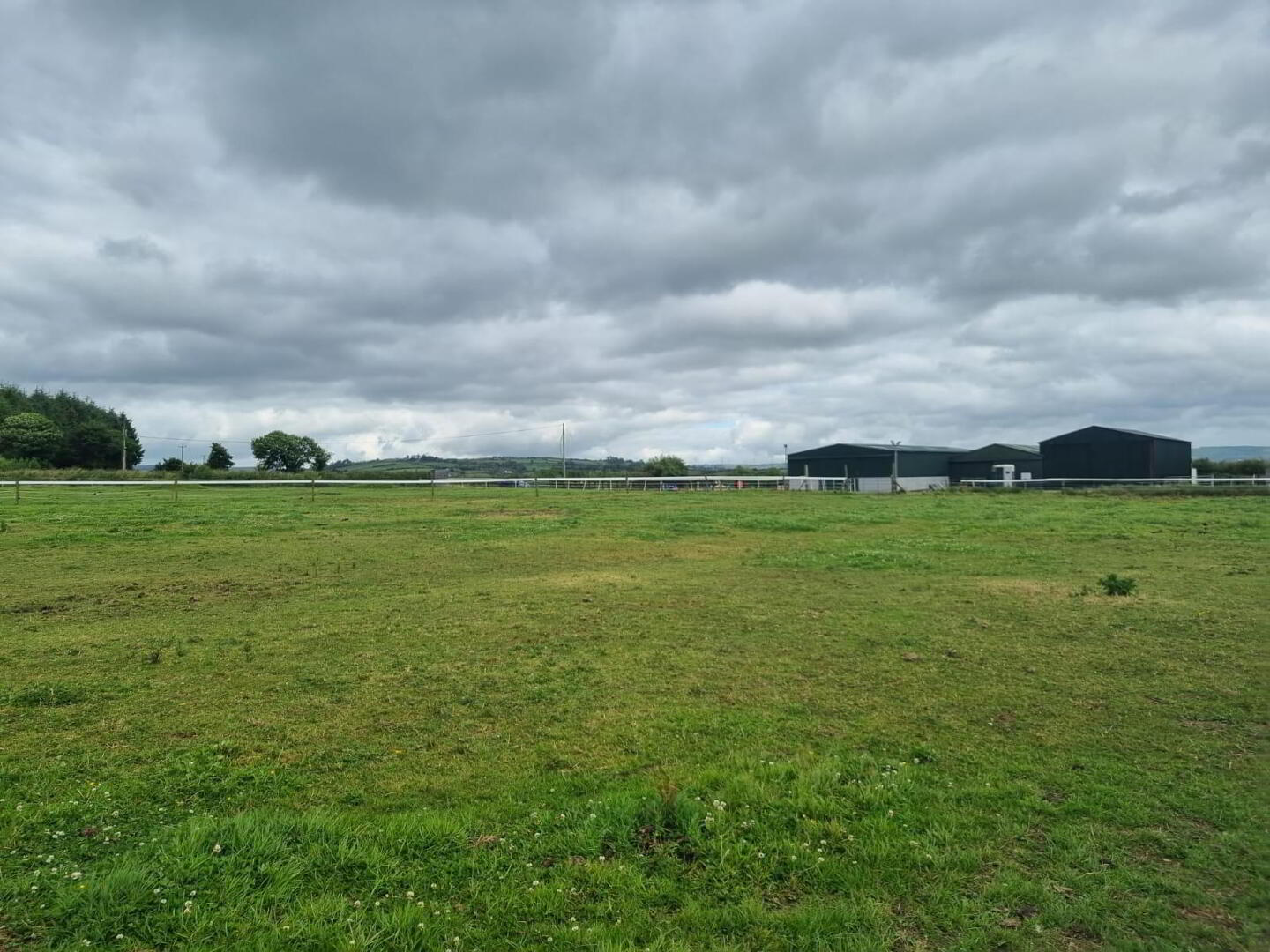Whitethorn Equestrian Centre 26 of 33