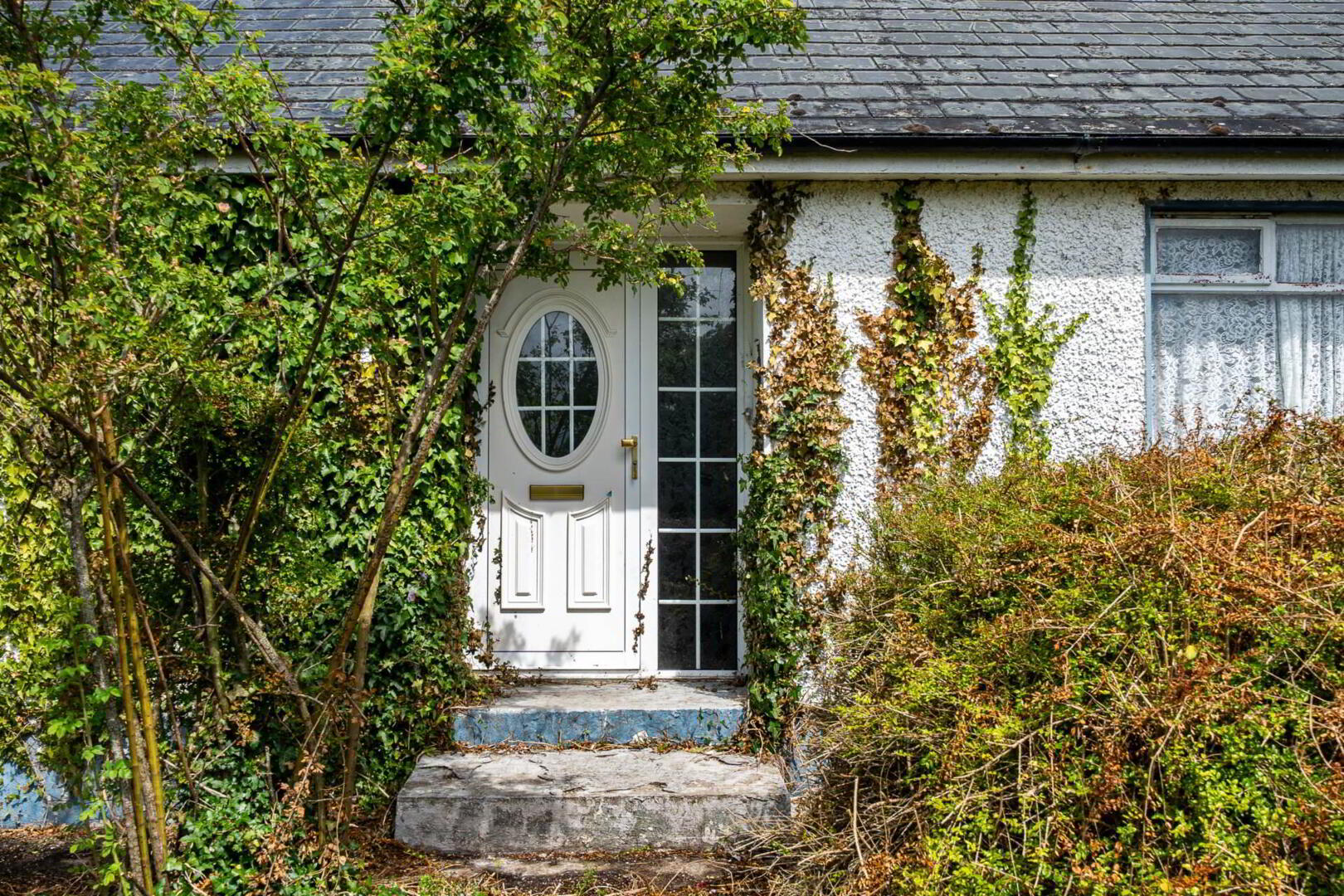 property description image
