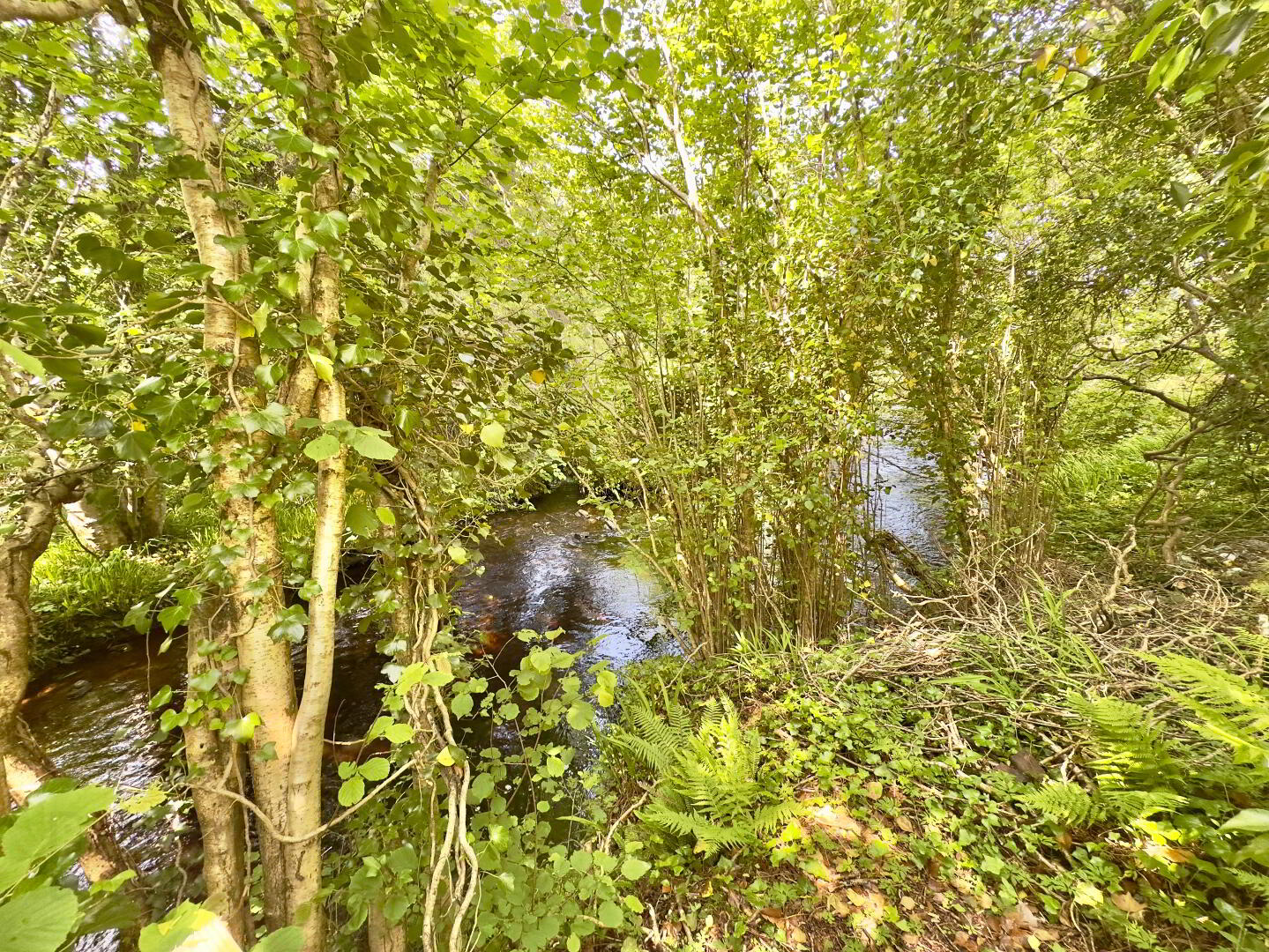 Riverside House, Gortahork 16 of 18