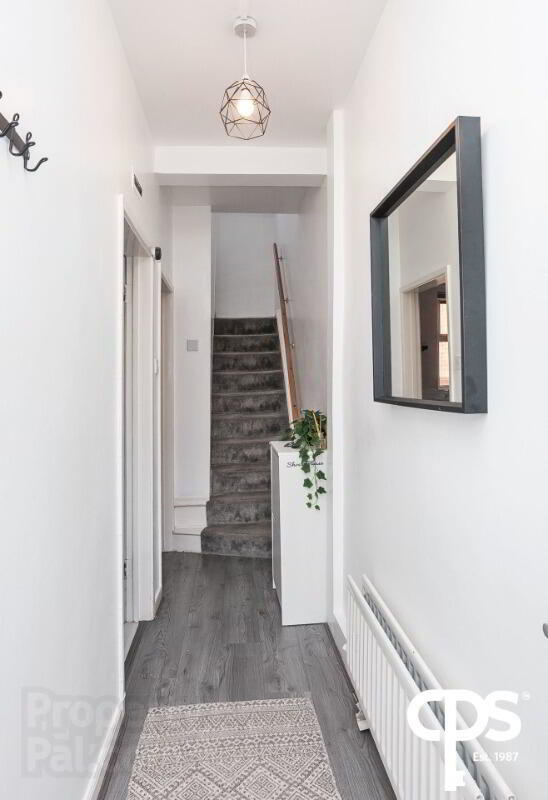 17 Donnybrook Street 3 of 11