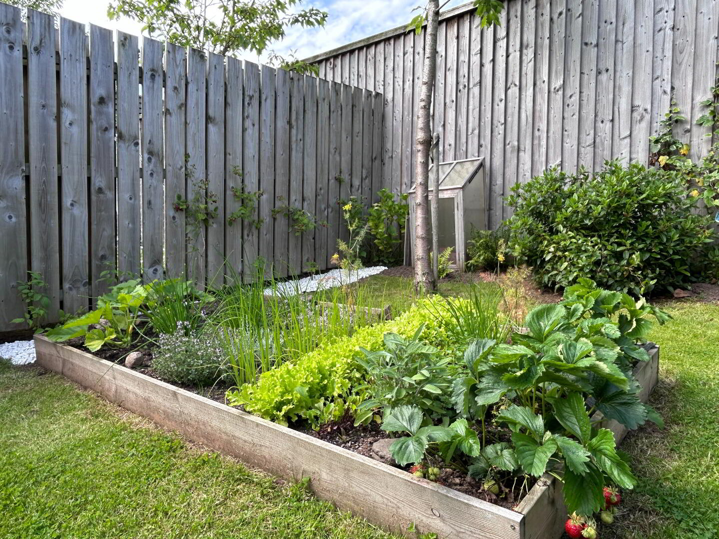 10 Blaris Drive 42 of 49