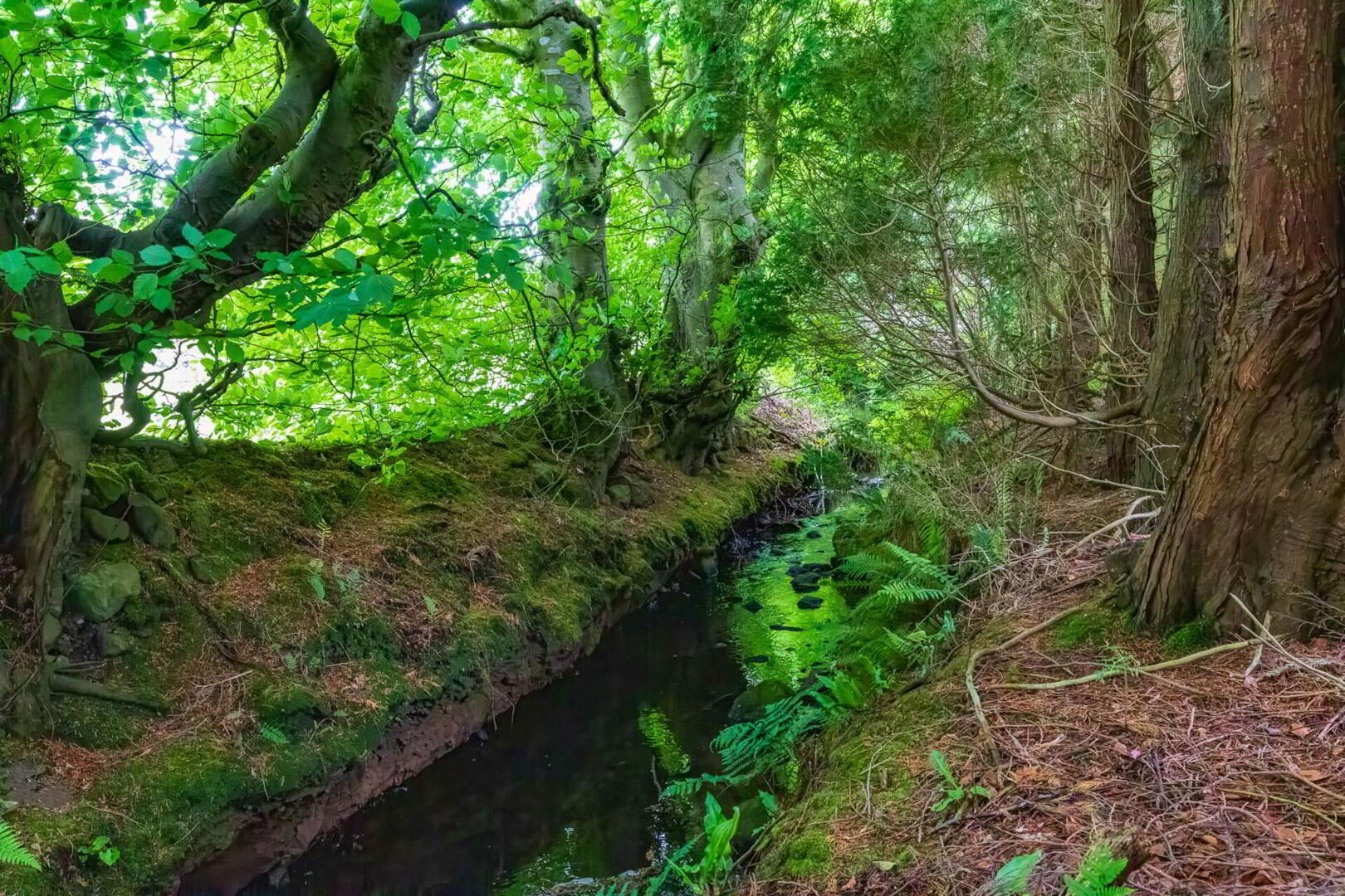95 Green Road 34 of 34