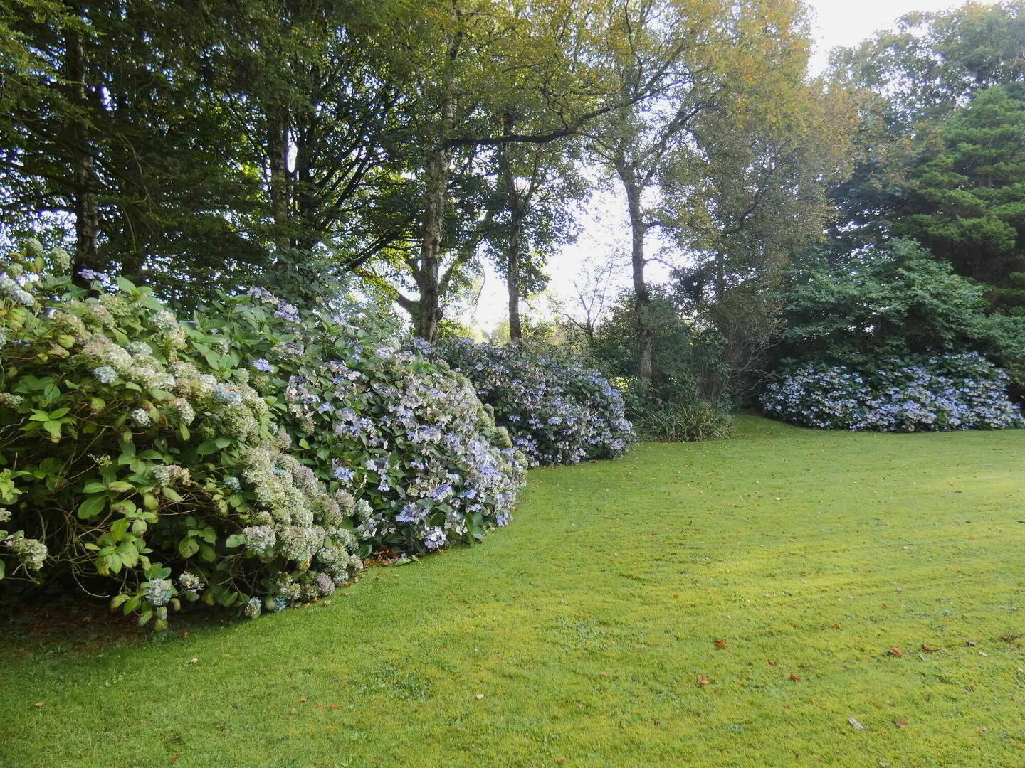 Seacon House, 36 Seacon Park 49 of 50