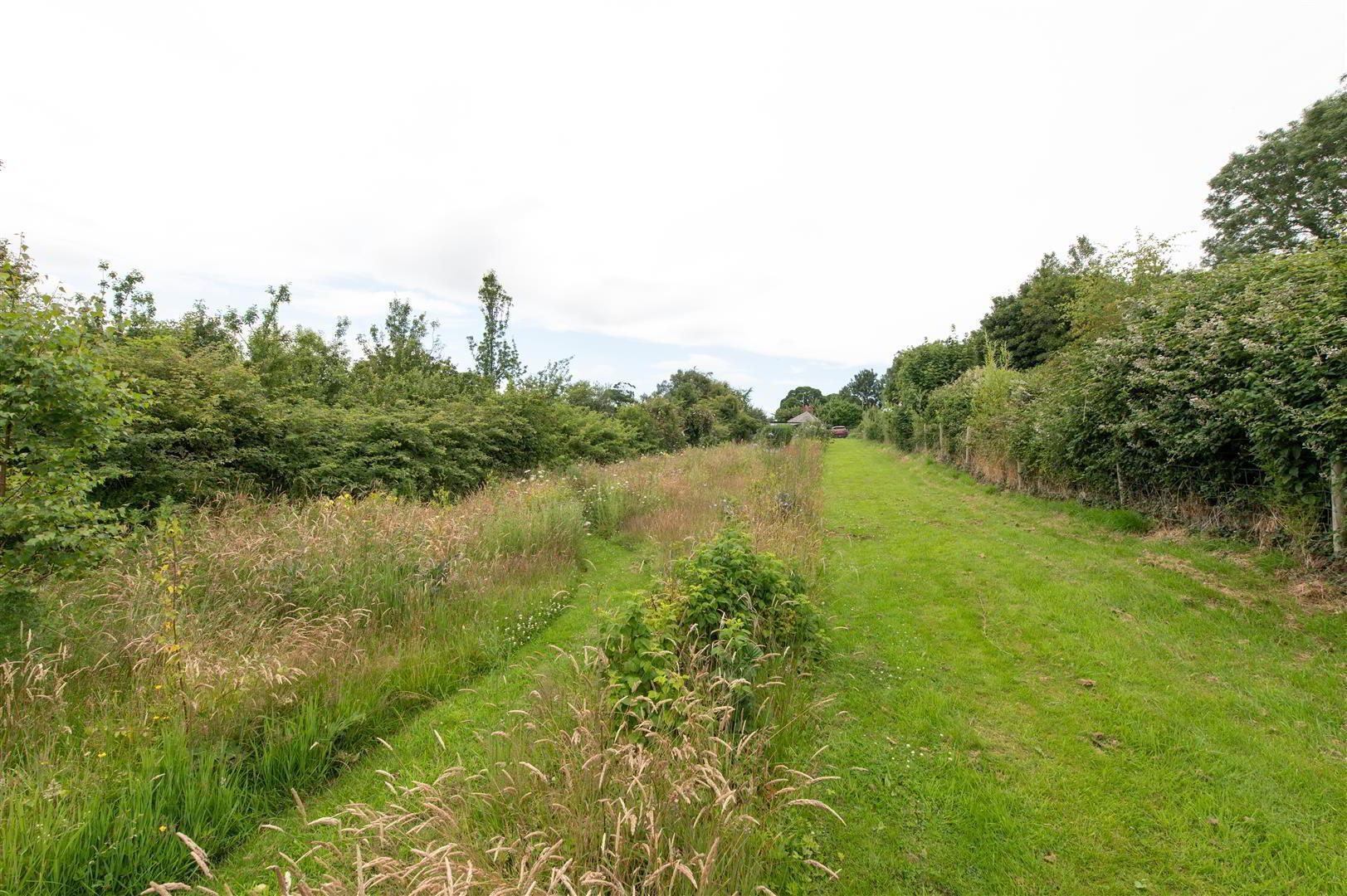 54 Comber Road 22 of 28
