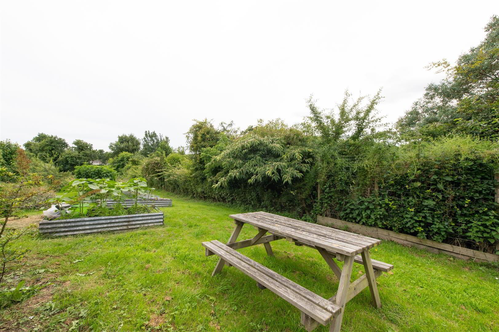 54 Comber Road 18 of 28