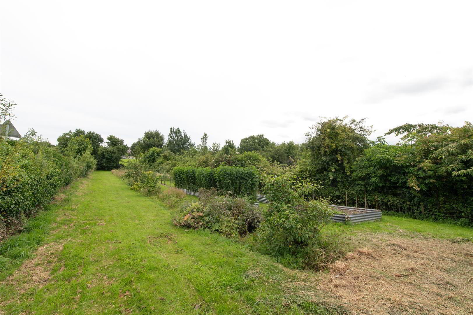 54 Comber Road 19 of 28