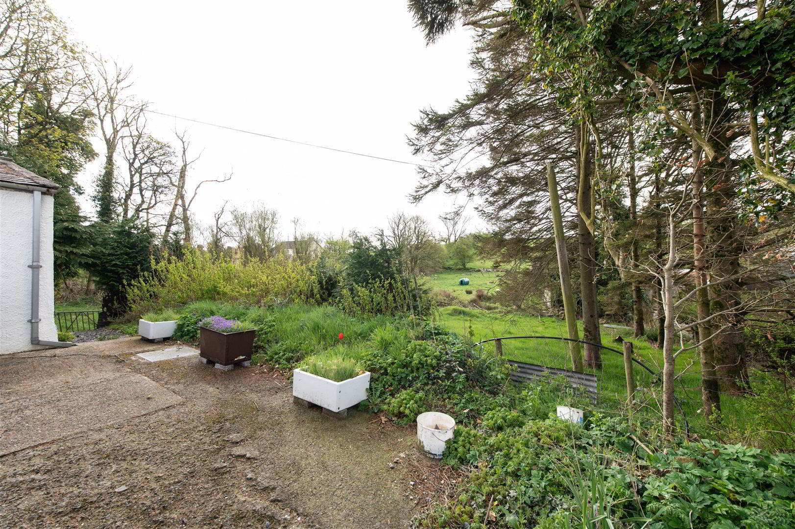 87 Ballynahinch Road 18 of 20