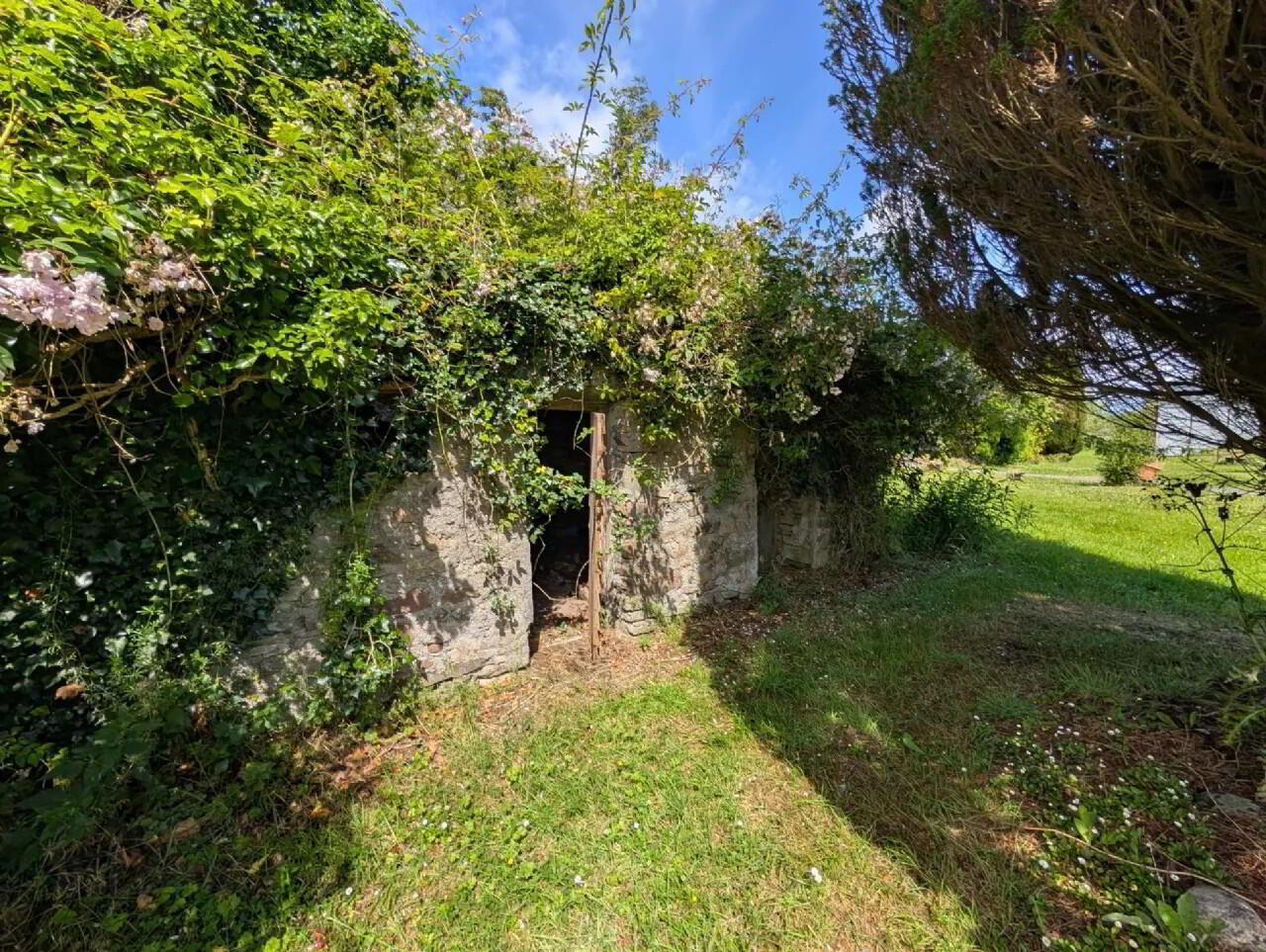 Cloonfane 33 of 41