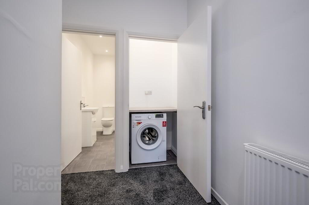 Flat 1, 13 Camden Street 8 of 11