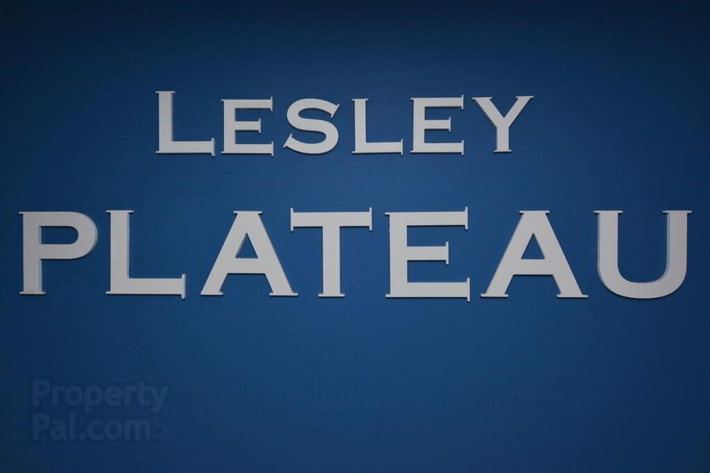 9 Apt. Lesley Plateau, 29 Bingham Street 2 of 18
