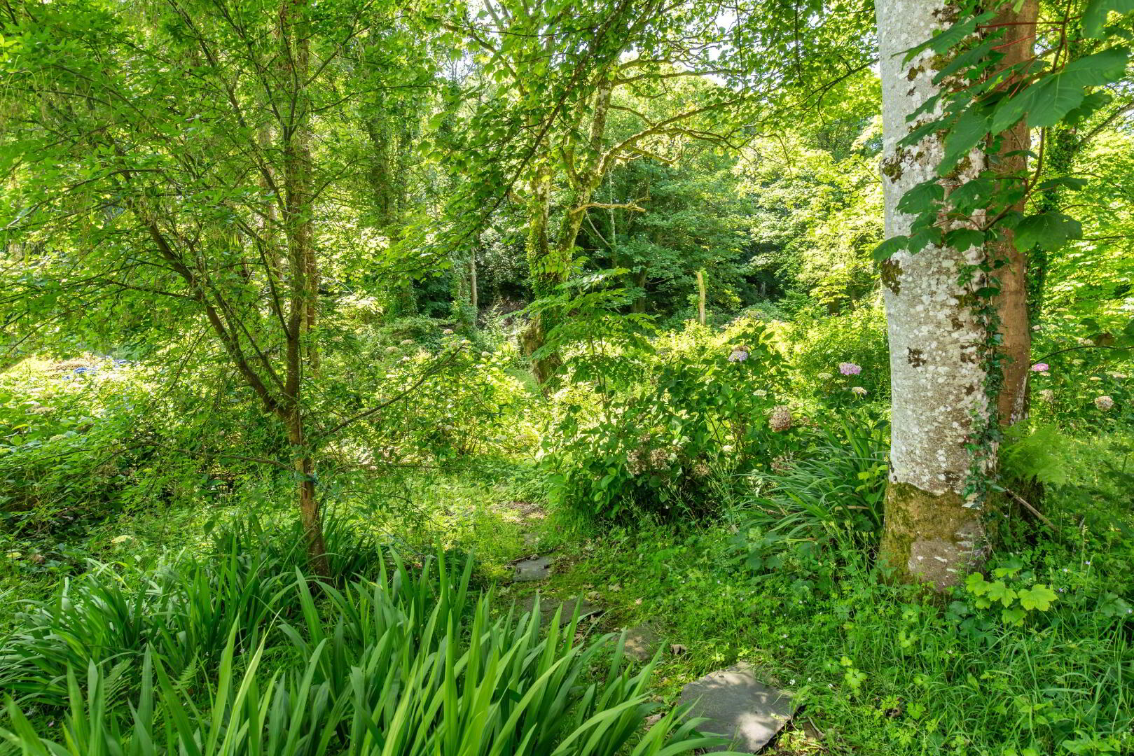 The Old Rectory, Glebe 21 of 21