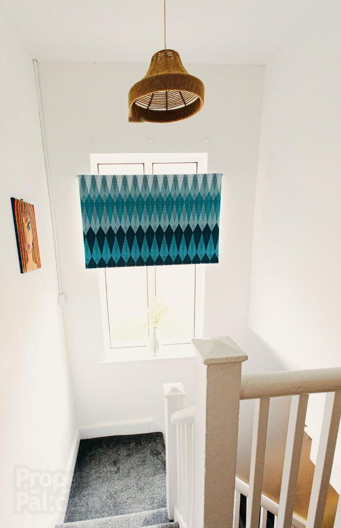 2a Landseer Street 4 of 20