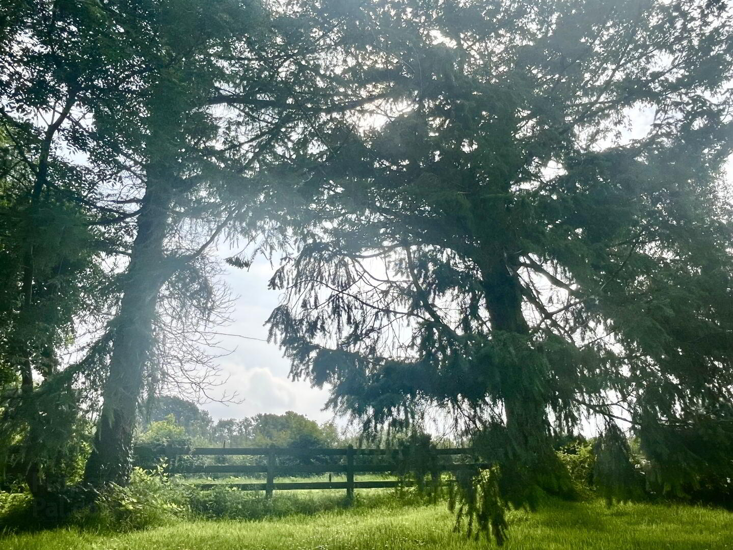 Magherabeg Road 5 of 9