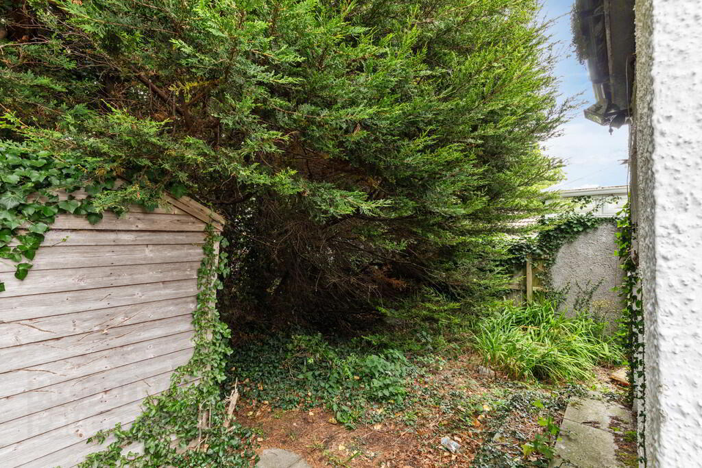 15 Sunderland Road 17 of 17