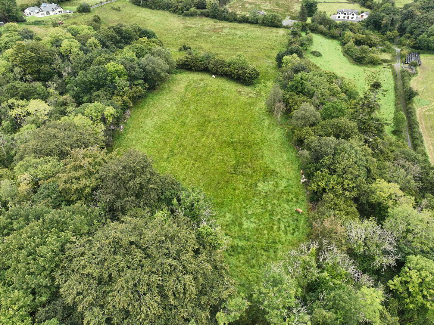 Clogher Beg 9 of 9