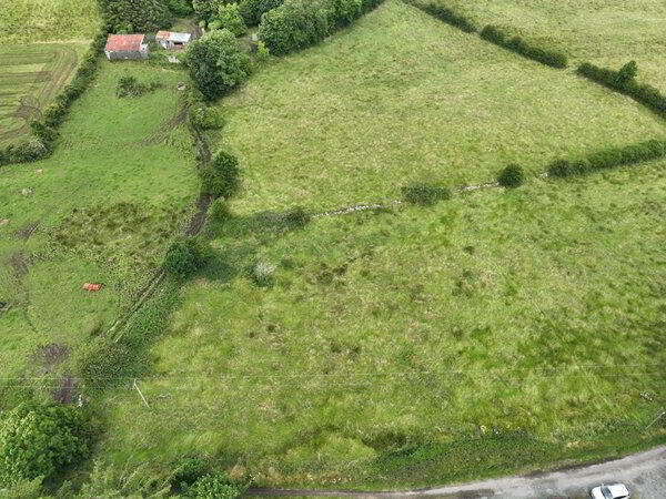 Whitehill 3 of 6