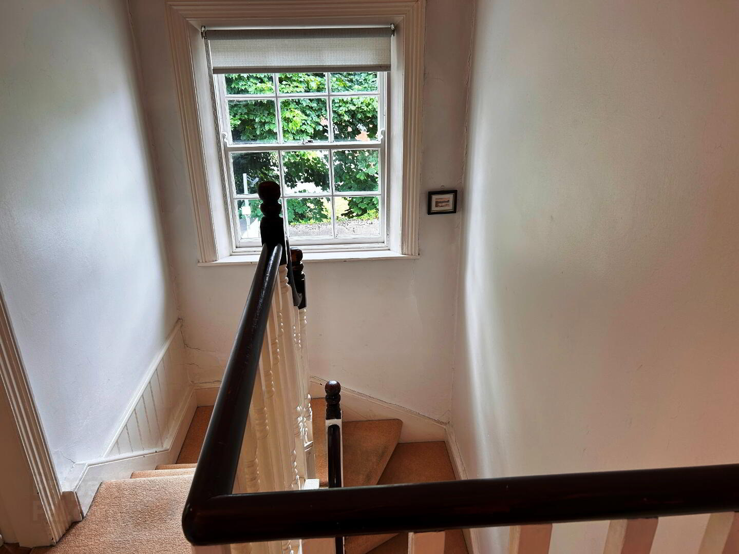 Saint Patricks, 27 Scarlet Street 5 of 18
