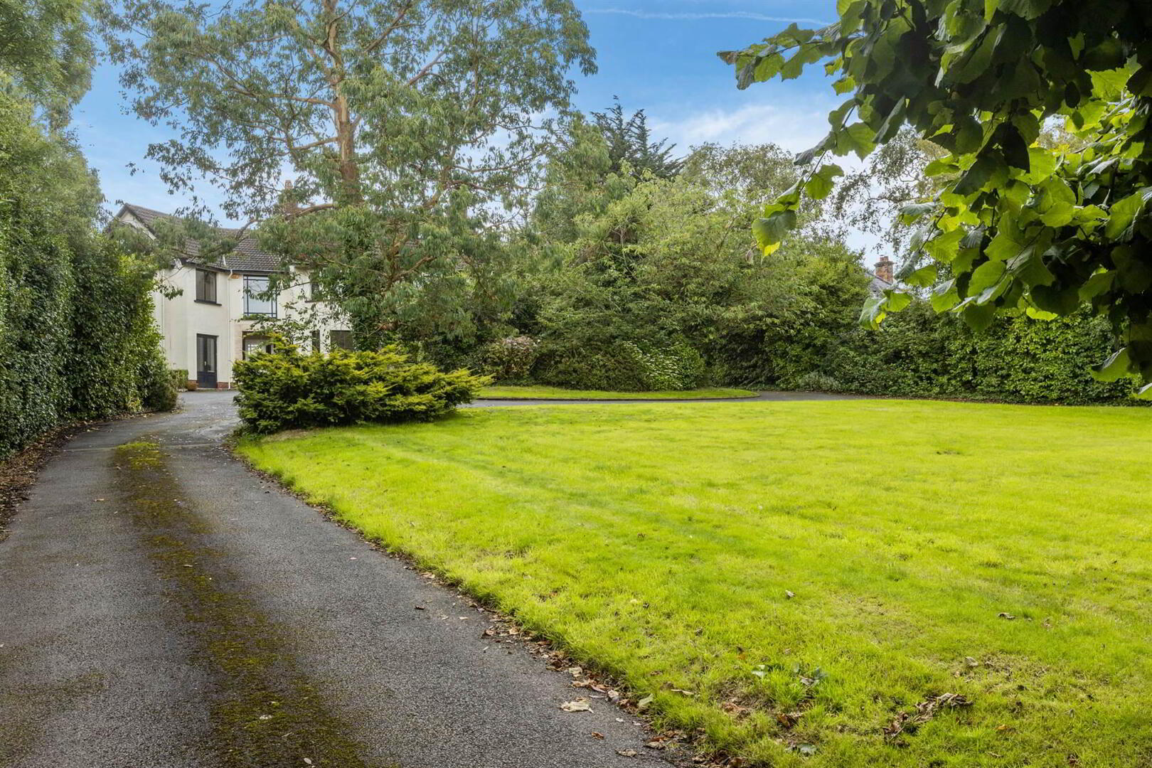 70 Craigdarragh Road 37 of 38