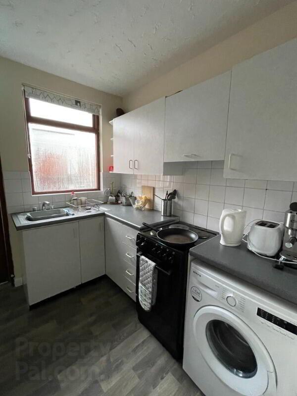 Apt 3, 126 Malone Avenue 5 of 10