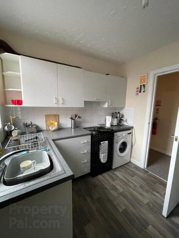 Apt 3, 126 Malone Avenue 4 of 10