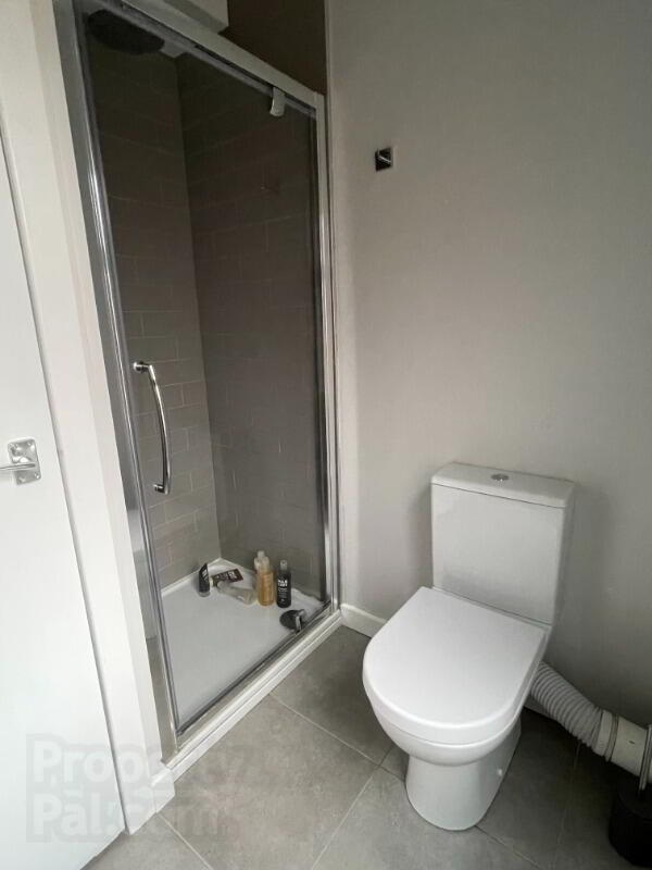 Apt 3, 126 Malone Avenue 7 of 10