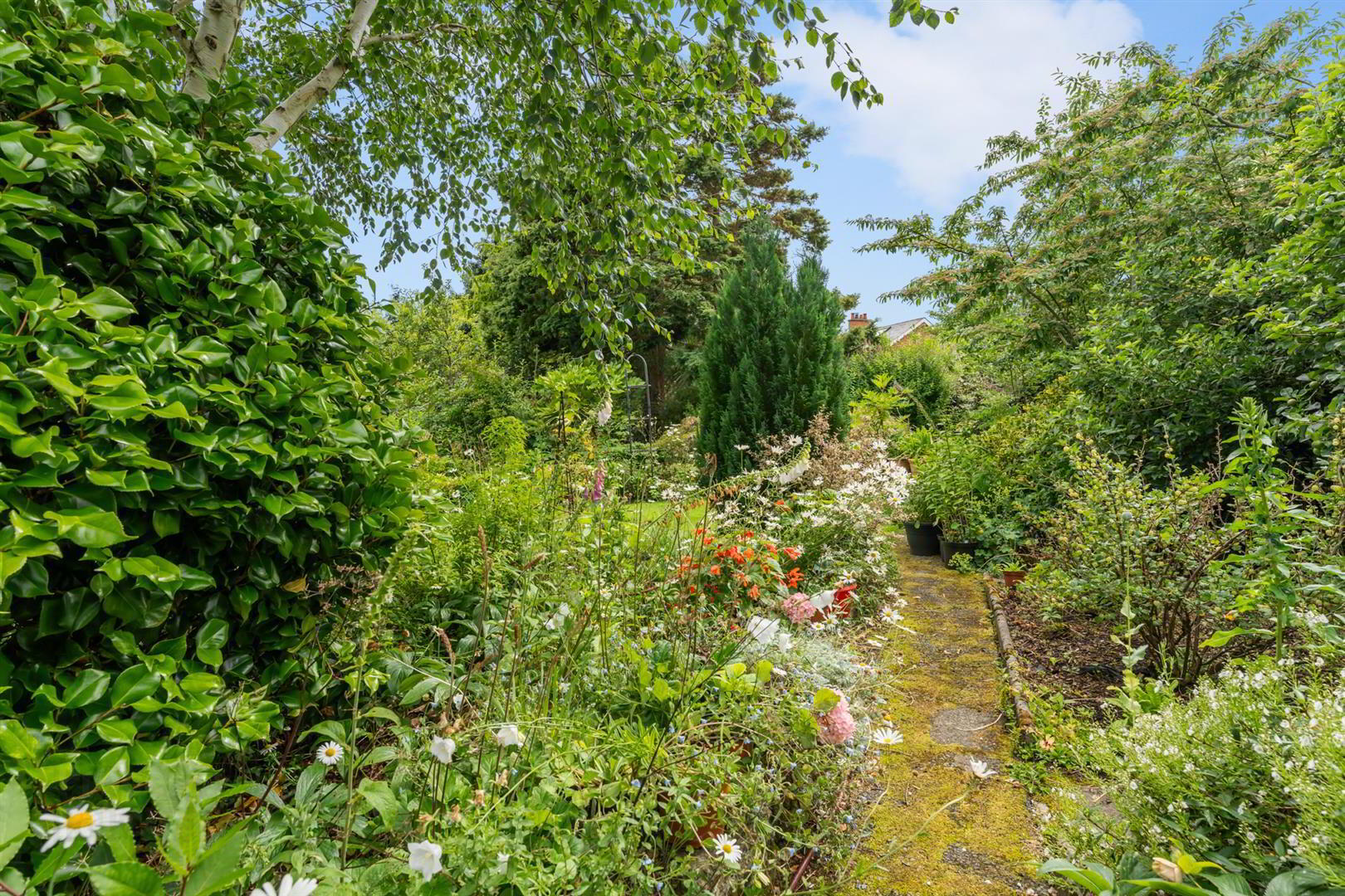 30 Ormiston Crescent 36 of 37