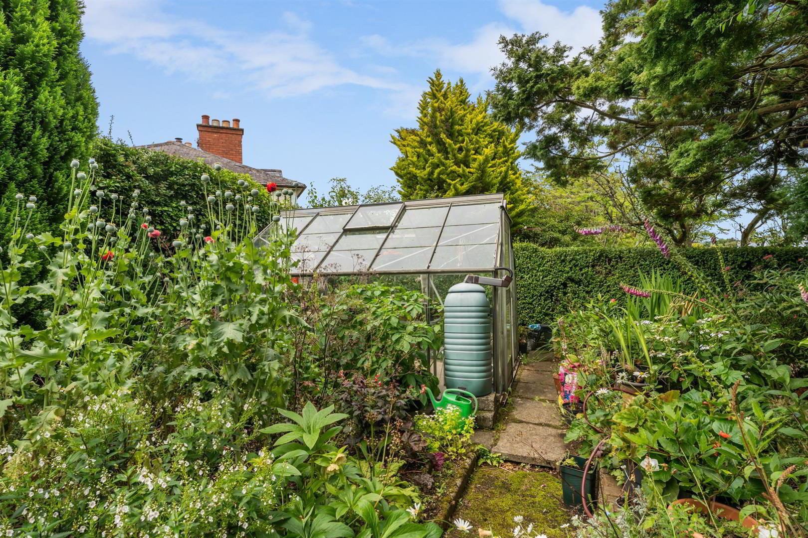 30 Ormiston Crescent 37 of 37