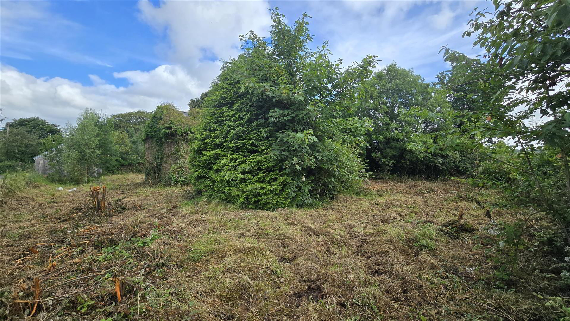 property description image