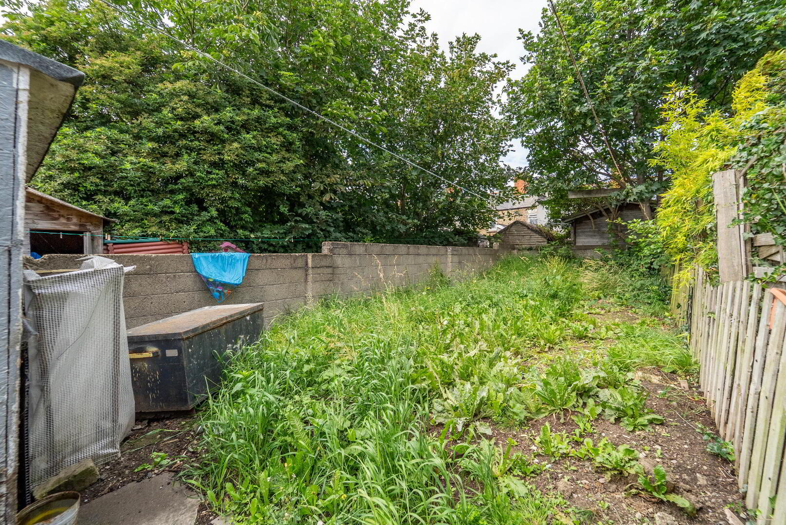 50a Jamestown Avenue 13 of 16