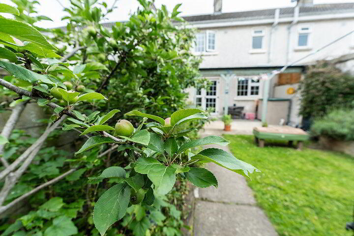 18 Marley Court 16 of 17