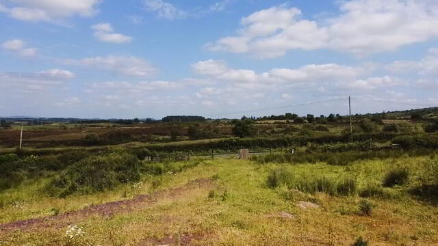 Building Site W/FPP, 119 Legamaghery Road, Fintona 3 of 11