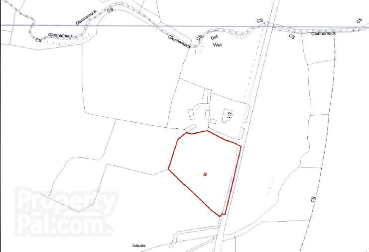 Building Site W/FPP, 119 Legamaghery Road, Fintona 5 of 11