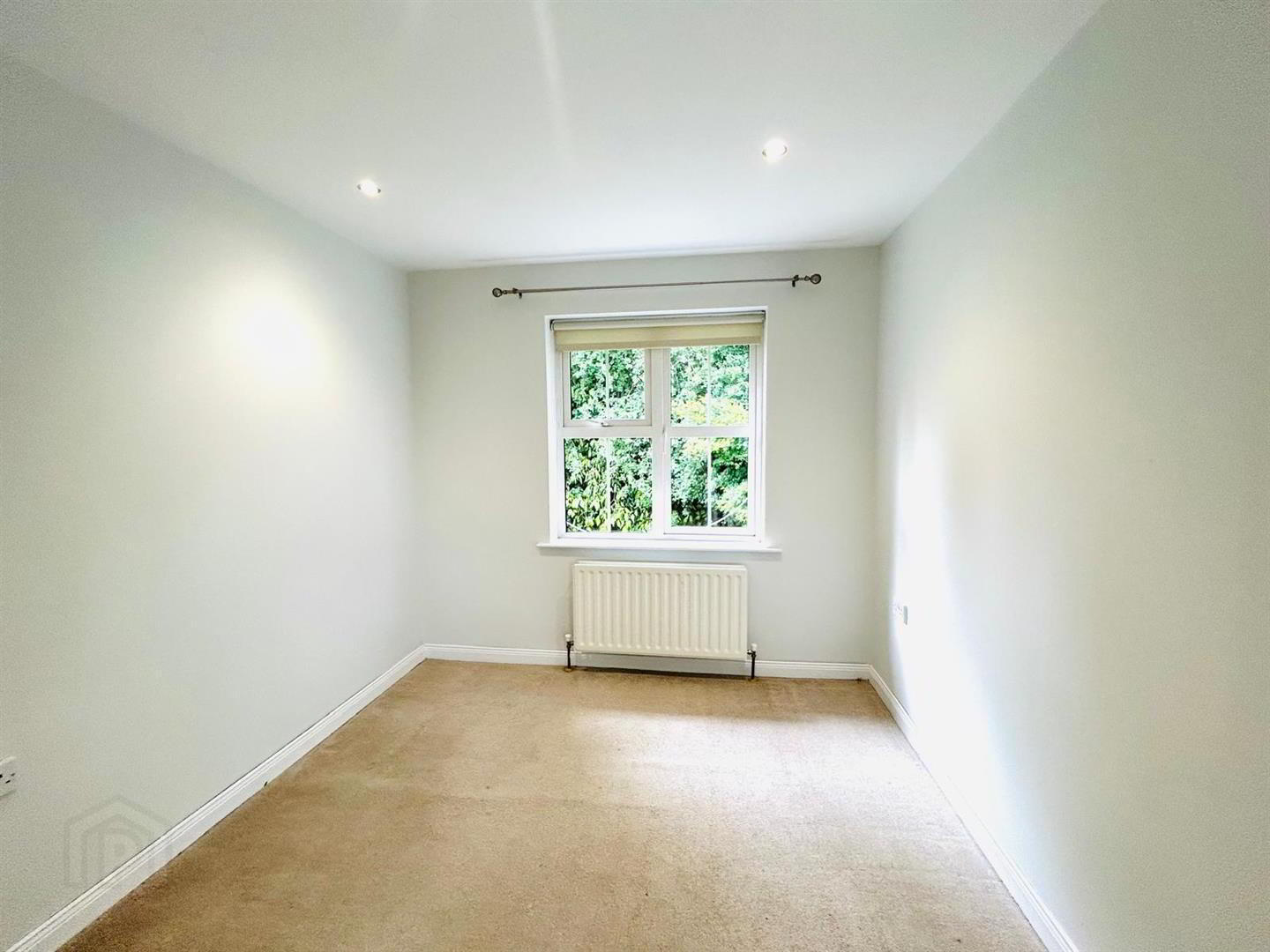 9 Waterfoot Park 11 of 15