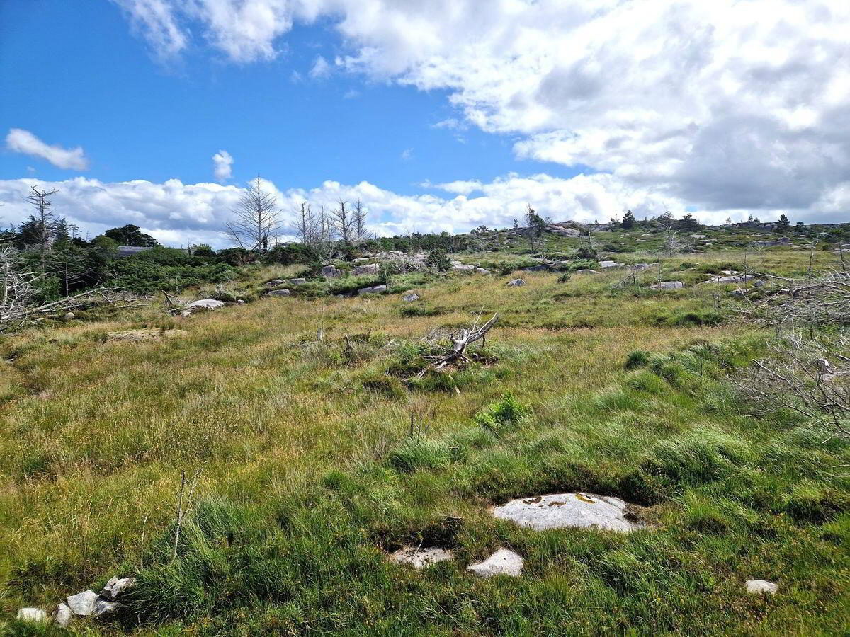 property description image